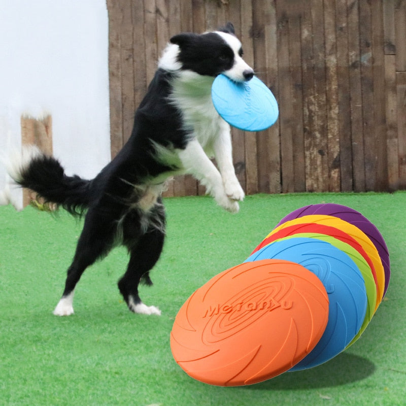 -50% Interactive Dog Training Frisbee