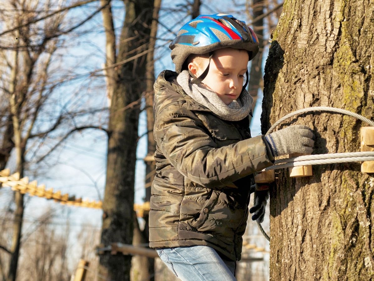 Dettaglio del fissaggio di una struttura sul tronco di un albero vivo